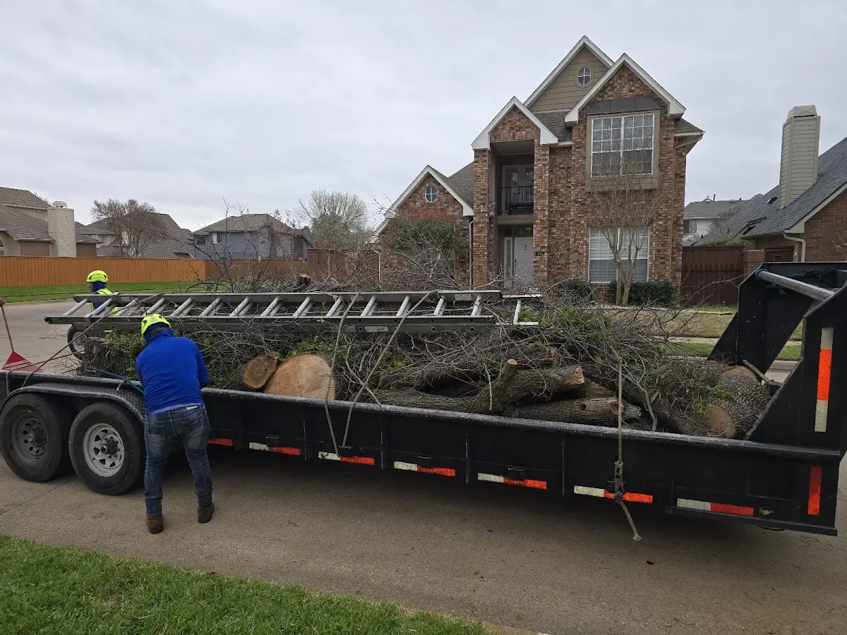Expert Lot Clearing with proper safety equipment in Cos Cob